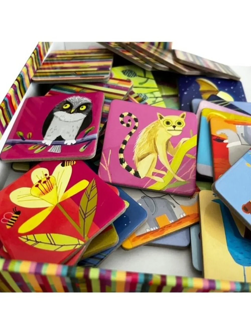 eeBoo Life on Earth Memory and Matching Game